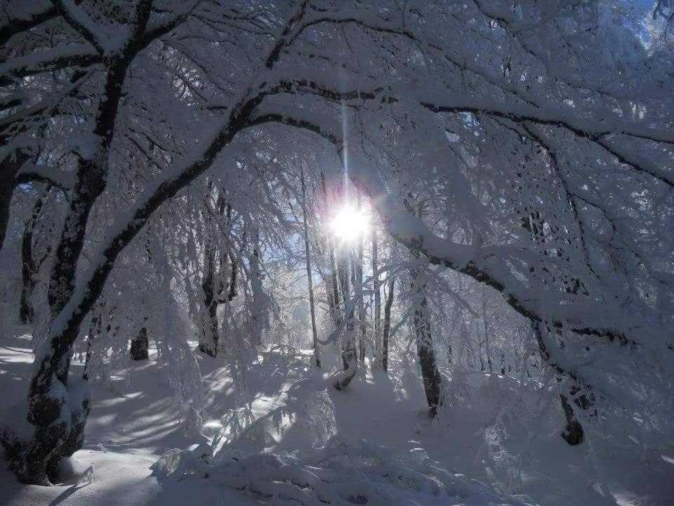 Vila Vesela Kuca Stara Planina Jalovik Izvor Exterior foto