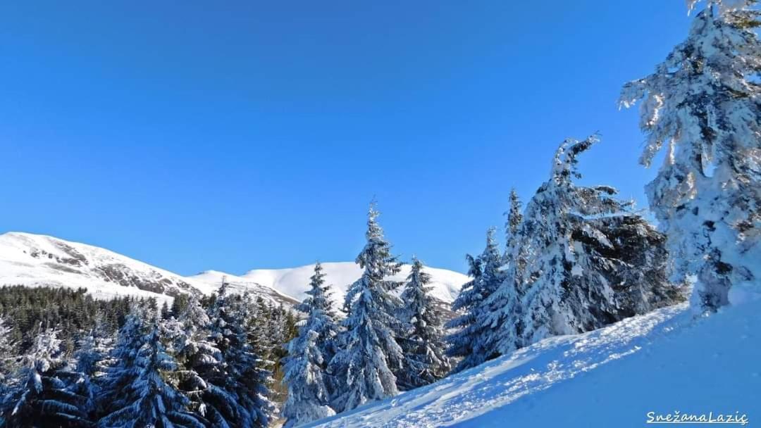 Vila Vesela Kuca Stara Planina Jalovik Izvor Exterior foto