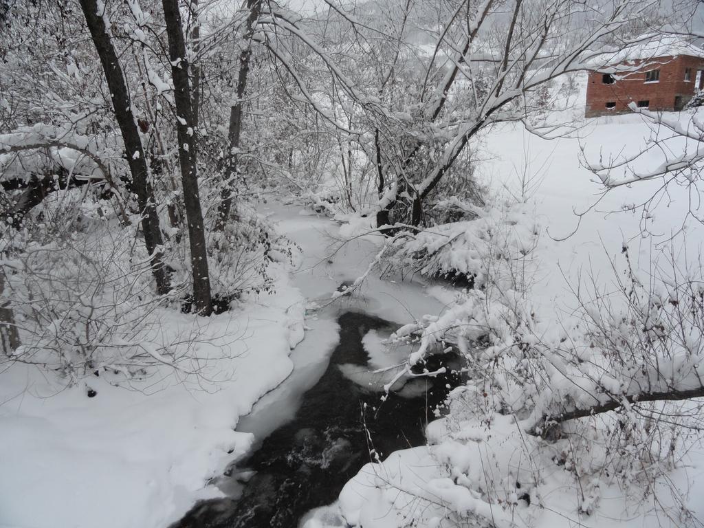 Vila Vesela Kuca Stara Planina Jalovik Izvor Exterior foto